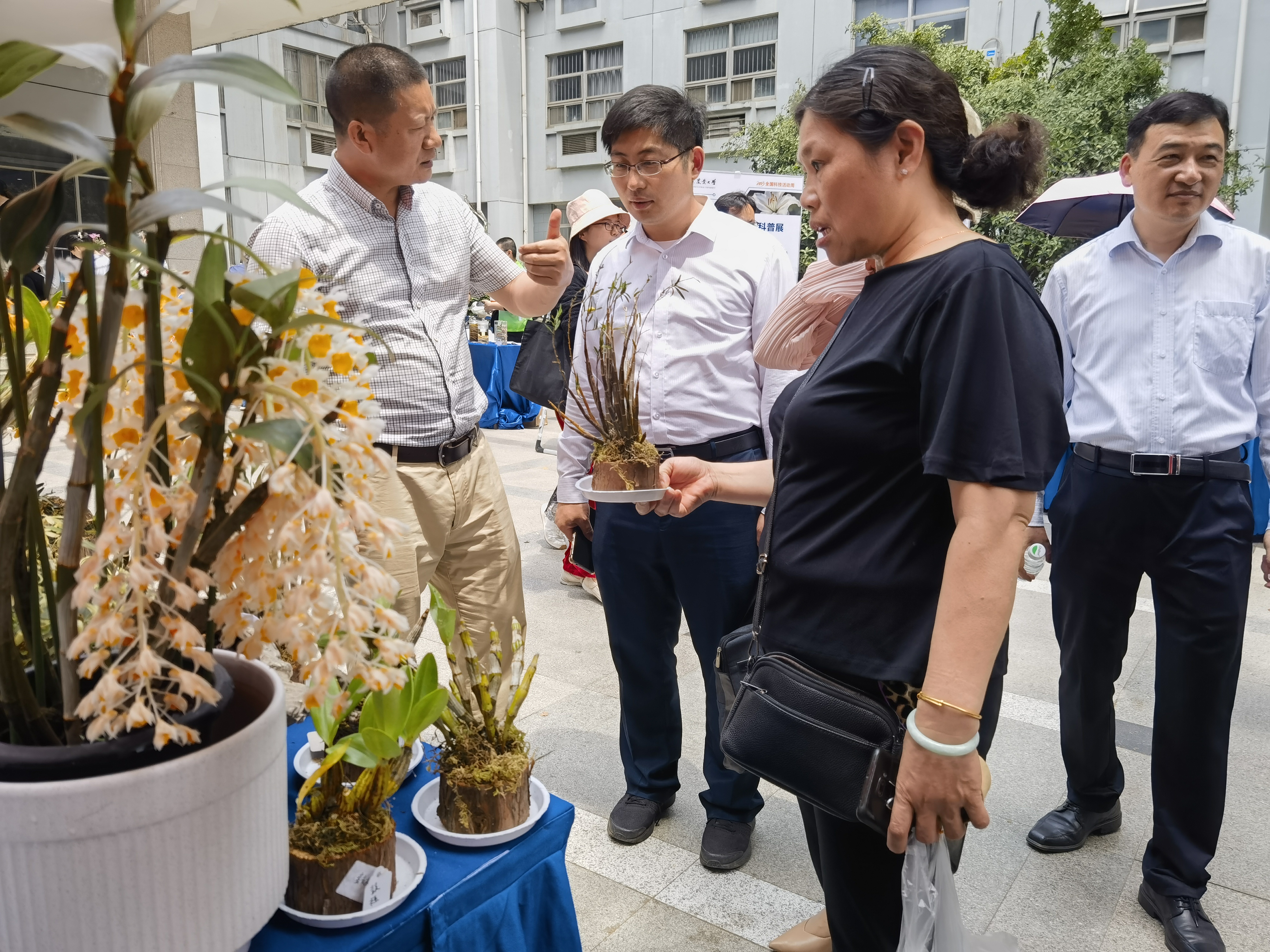 农业科普展示内容_农业科普活动_科普农业活动主题