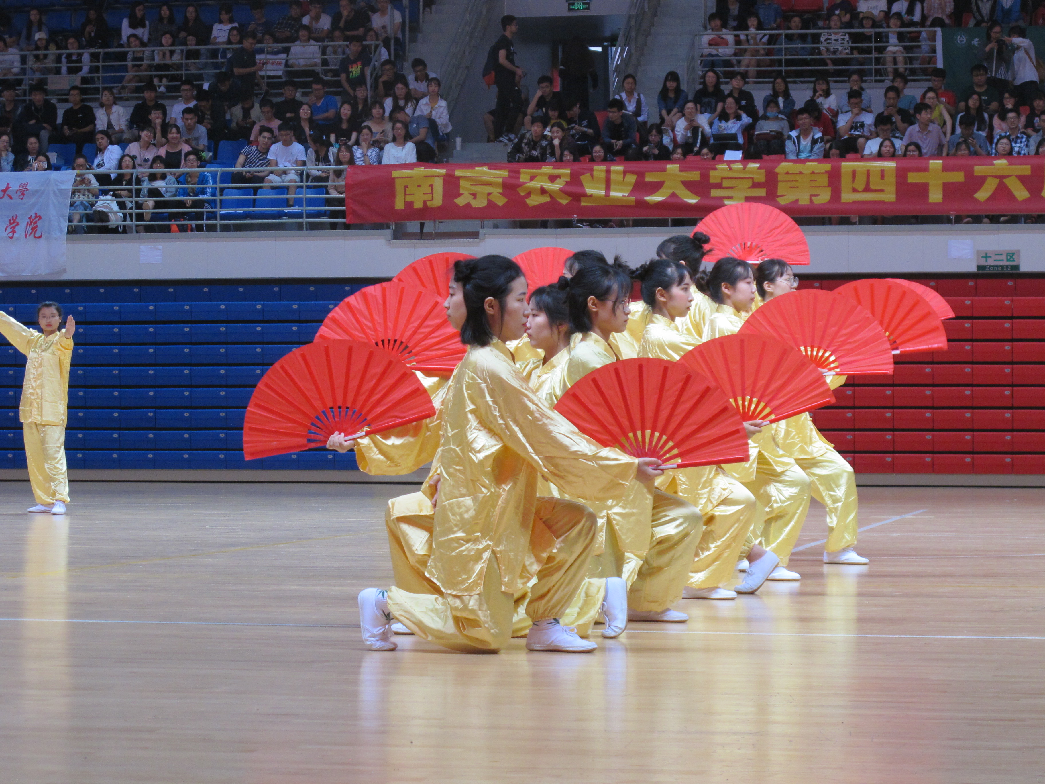 我校举办第四十六届运动会太极拳比赛